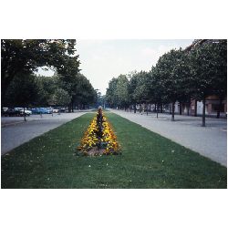 Parc Area-Toulouse.jpg